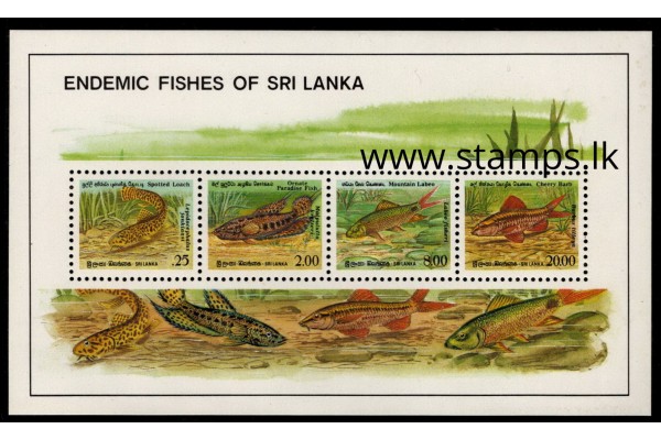 1990, MS 1137, Endemic Fishes of Sri Lanka Souvenir Sheet
